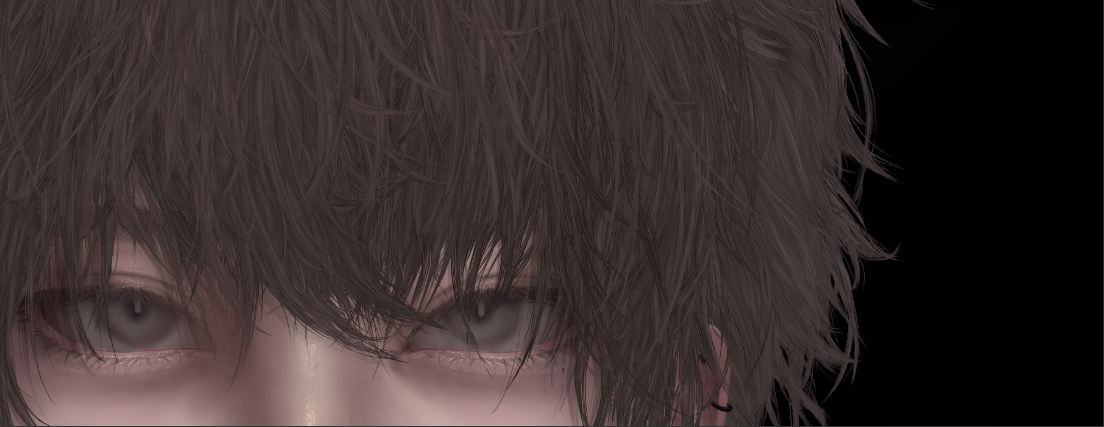 Model Preview